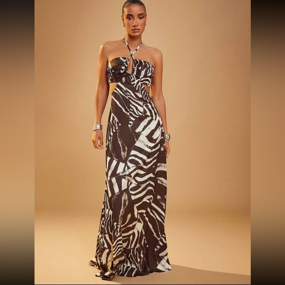 Elegant Zebra Print Maxi Dress